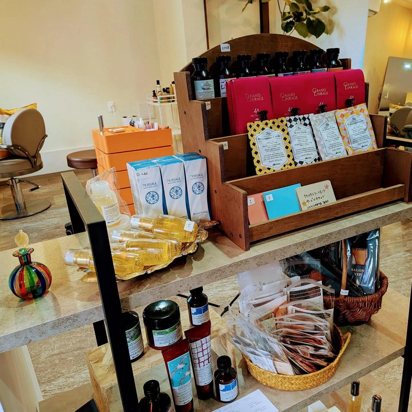 明けましておめでとうございます🐴