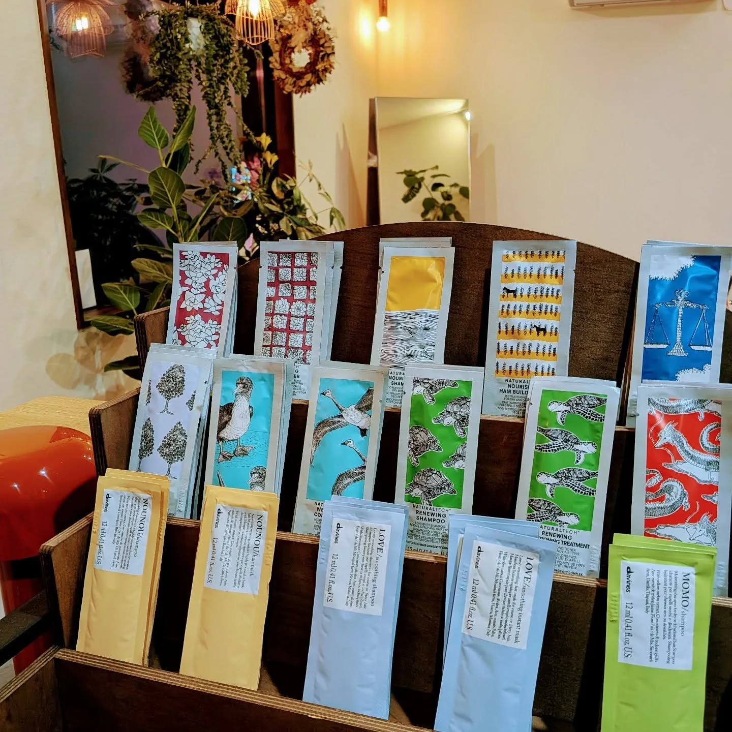 こんにちは 🌿