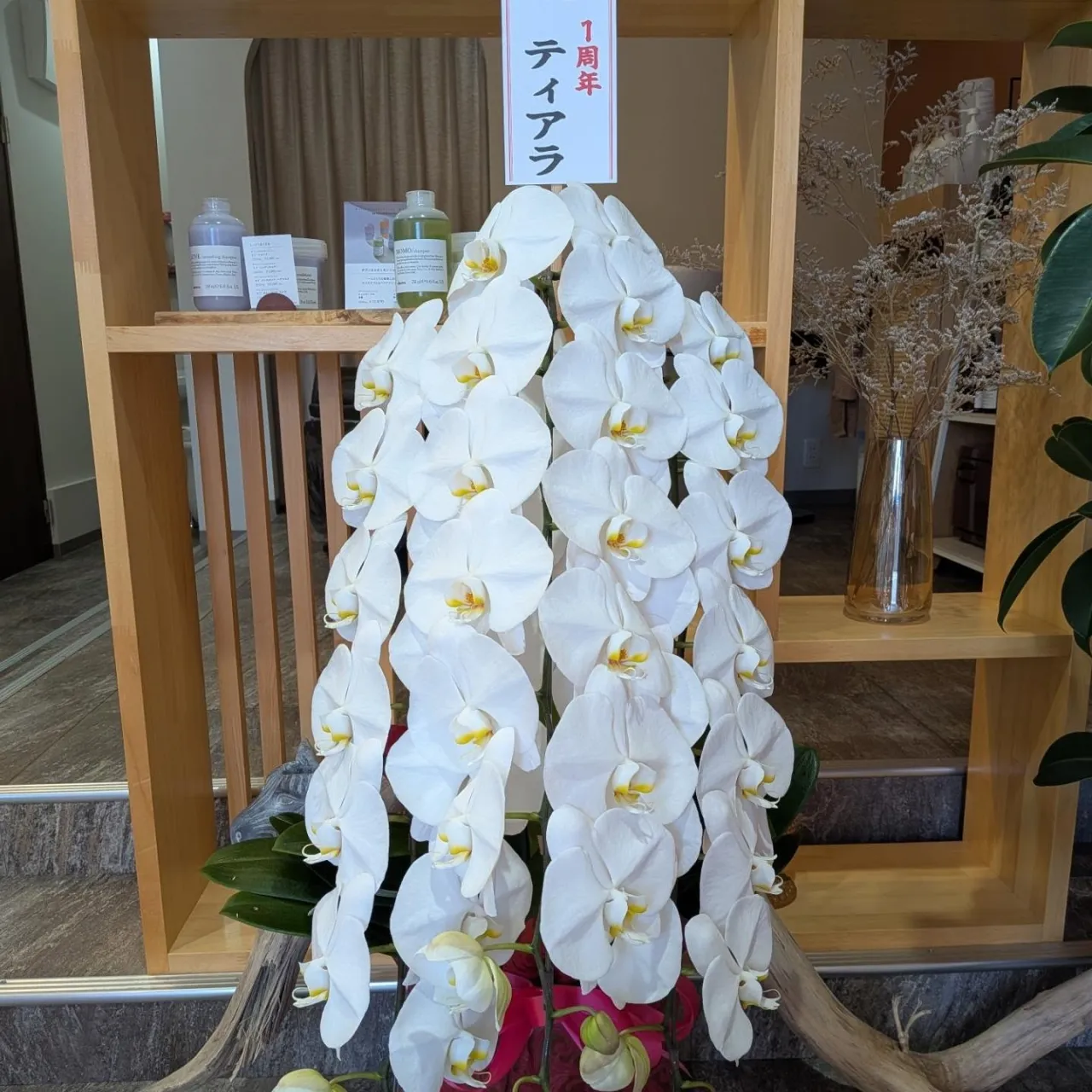 ◎ おかげさまで1周年を迎えました ◎